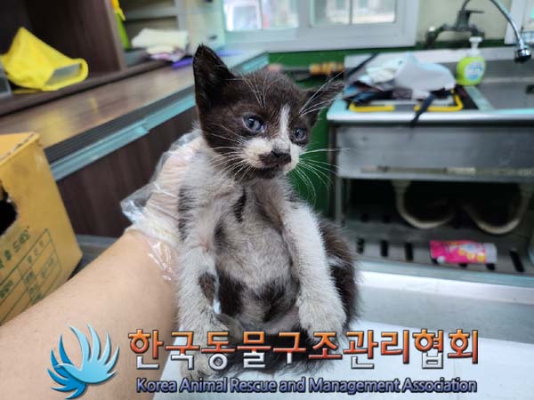 종료(자연사) 한국…